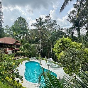 Tranquil Resort - Blusalzz Collection, Wayanad - Kerala